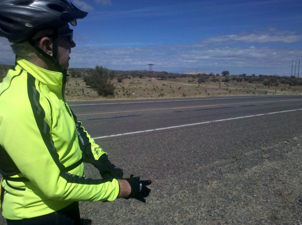 Tim, trees and cacti along NM 90, 20 miles outside of Silver City, NM.