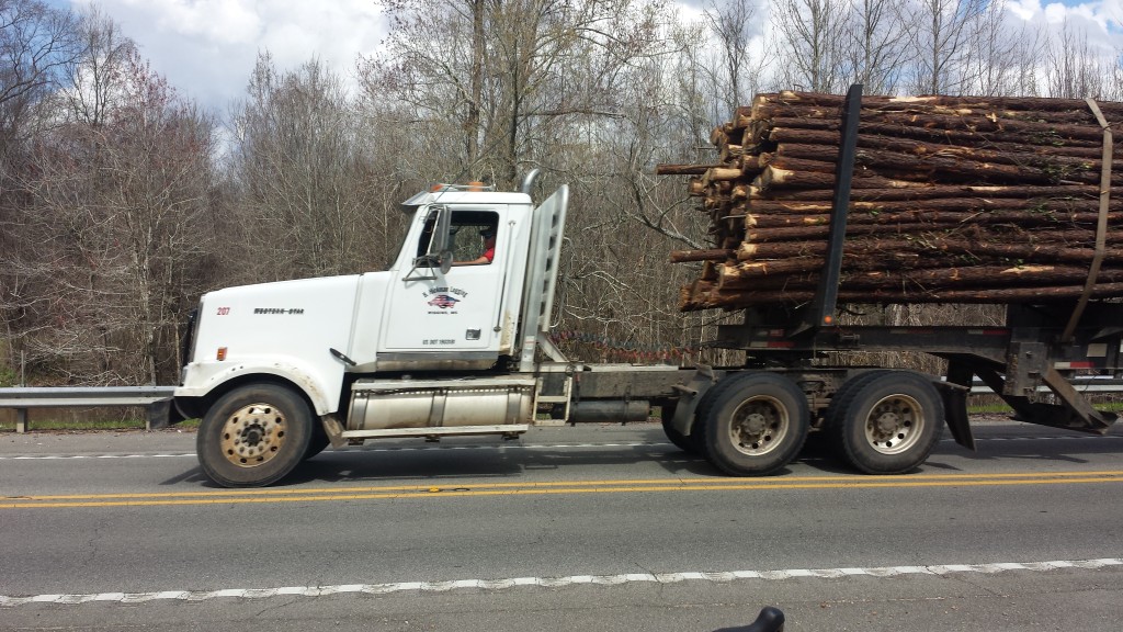Logging truck along MS 26.  We have been seeing dozens and dozens of these trucks every day once we left Conroe, TX, including today.  I never knew that this regions of the country is a big resource for pine lumber.